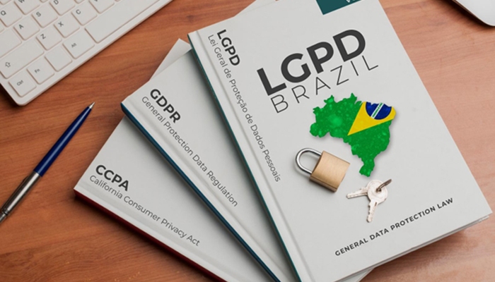 Read more about the article O que diz a Lei Geral de Proteção de Dados e como adequar as informações?